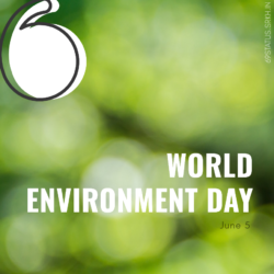 Images Related to World Environment Day HD