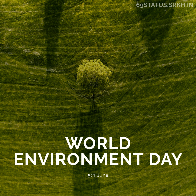 Images Related to World Environment Day full HD free download.