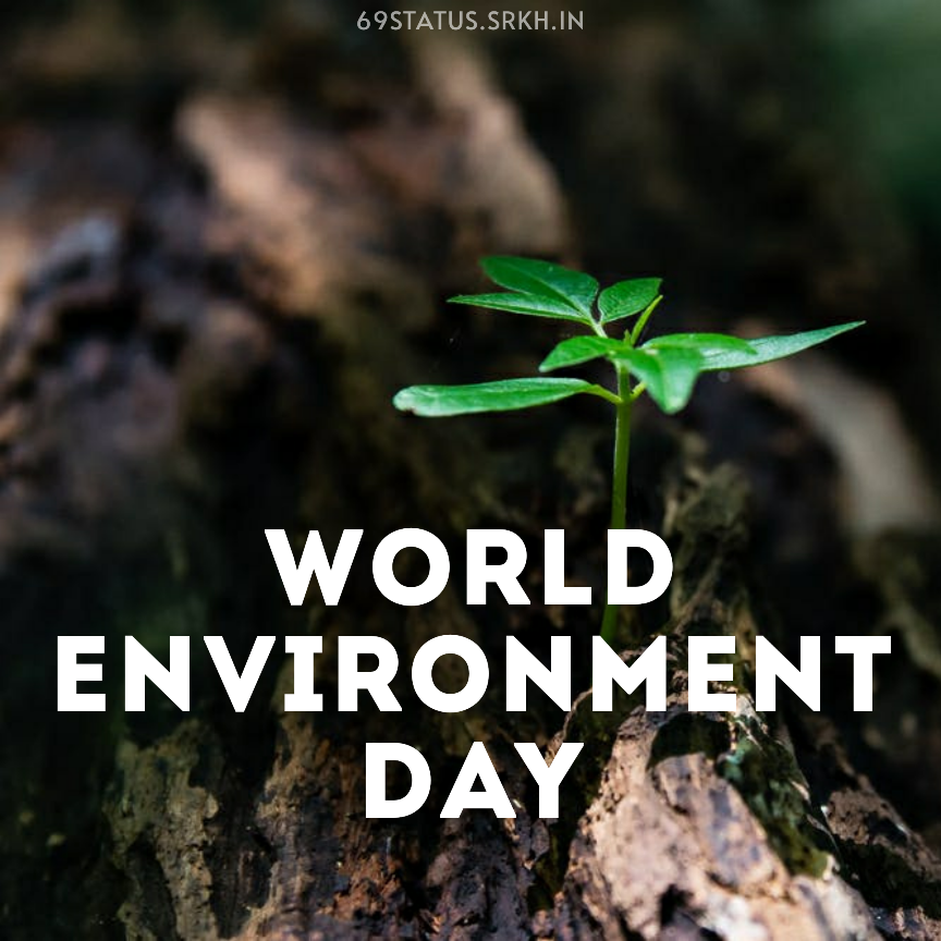 🔥 Images World Environment Day HD Image Download free - Images SRkh