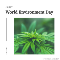 Images of World Environment Day