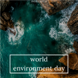 Images of World Environment Day Beach