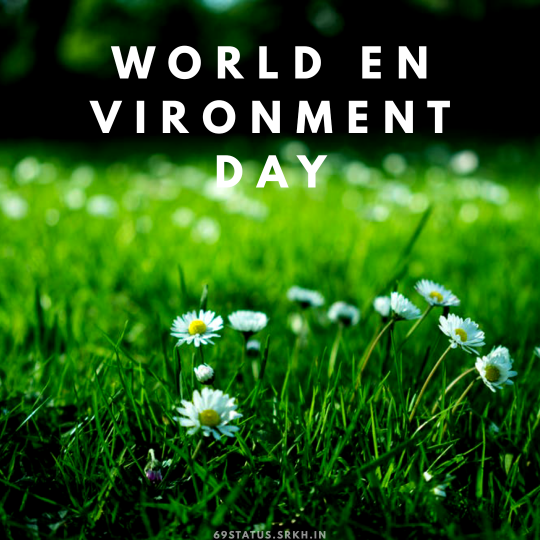 Images of World Environment Day HD Flowers