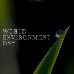 Images of World Environment Day HD Nature