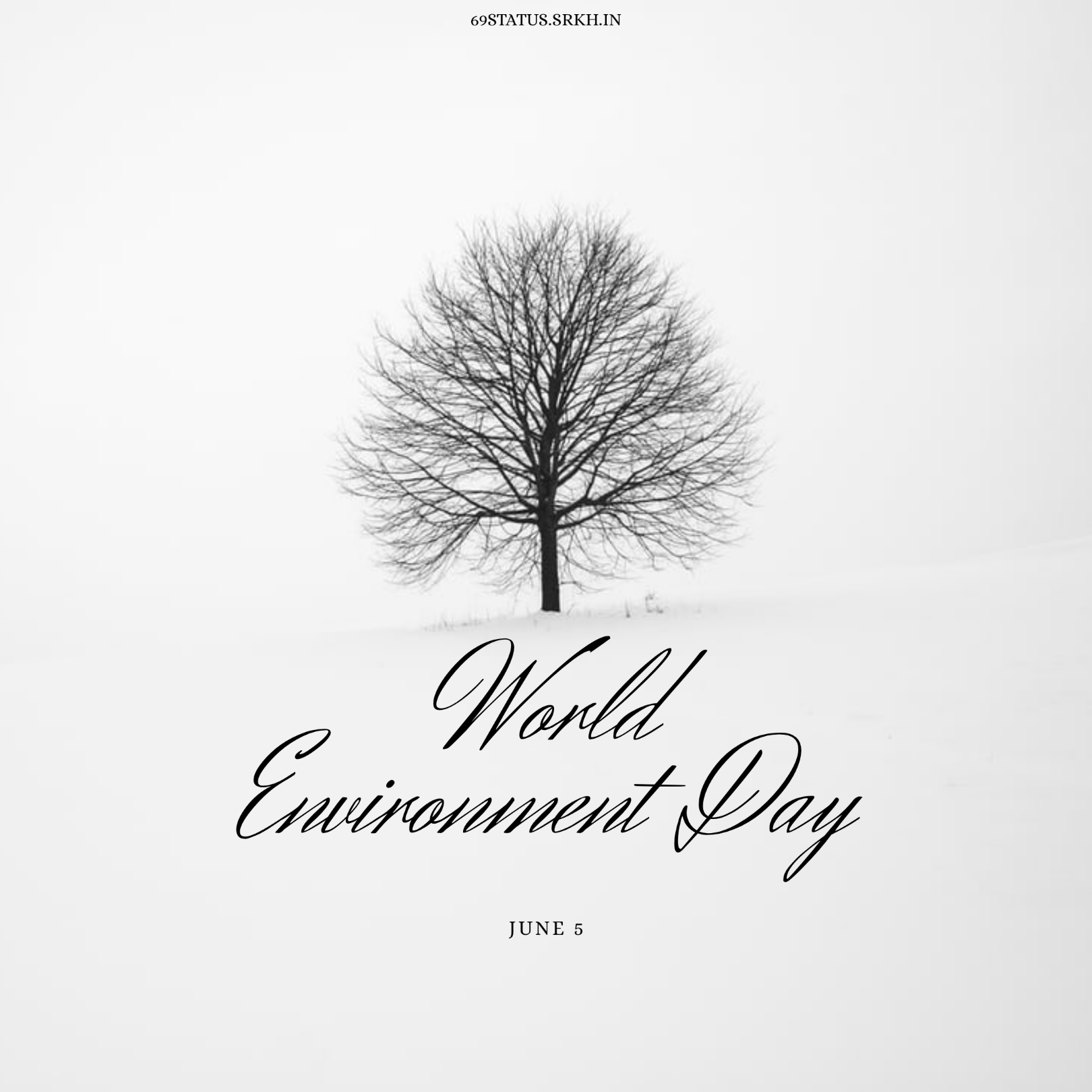 Images on World Environment Day Snow White