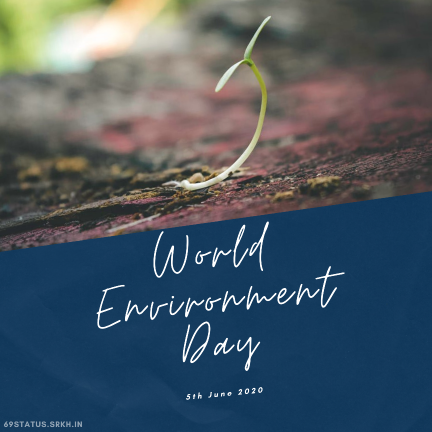 Images on World Environment Day