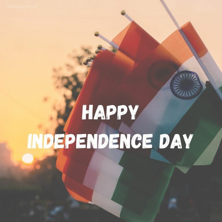Independence Day Celebration Image HD full HD free download.