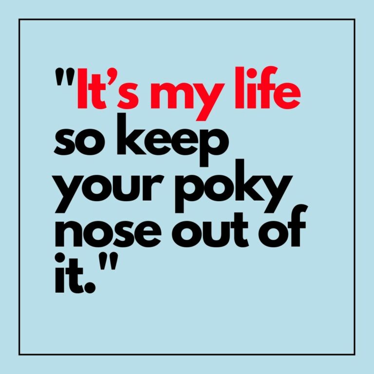 Its my life so keep your poky nose out of it Attitude WhatsApp Dp image full HD free download.