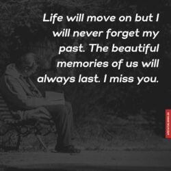 Miss you quotes in hindi with images