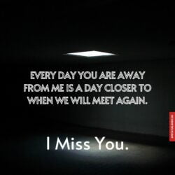 Miss you quotes with images
