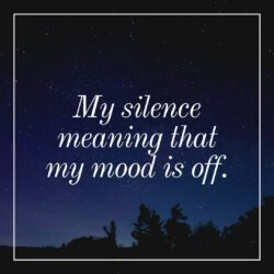 My silence meaning that my mood is off WhatsApp Dp Image