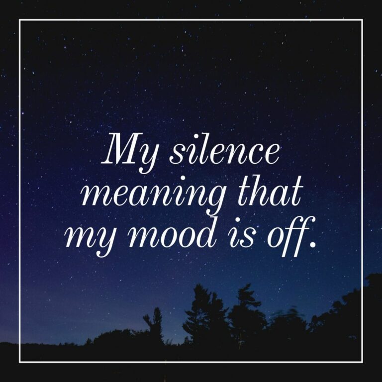 My silence meaning that my mood is off WhatsApp Dp Image full HD free download.