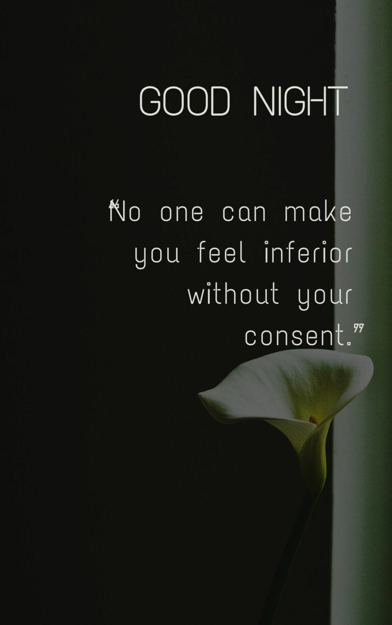 No one can make you feel inferior without your consent. Good Night Quote full HD free download.