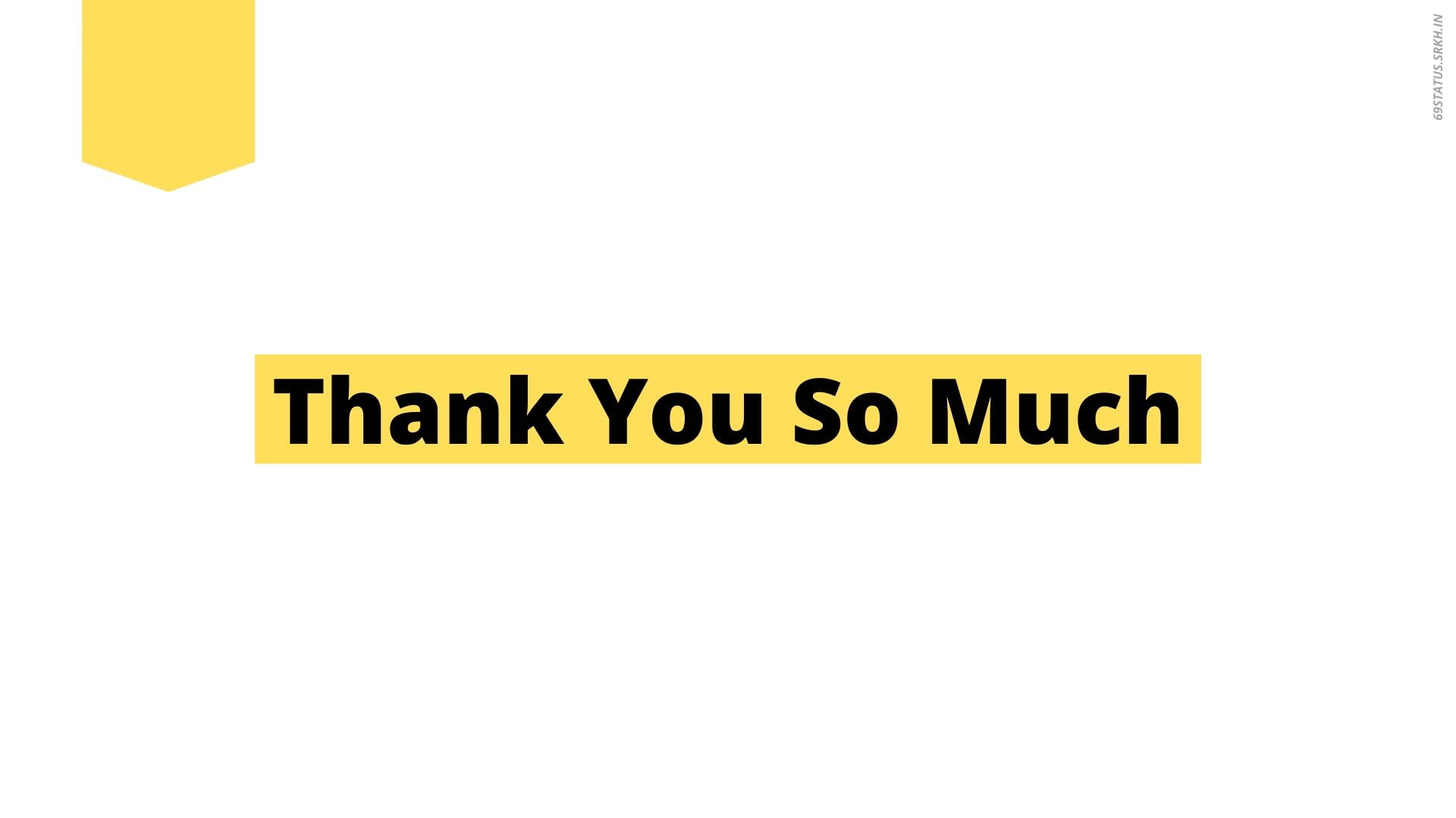 Professional Thank You Images for PPT Presentation