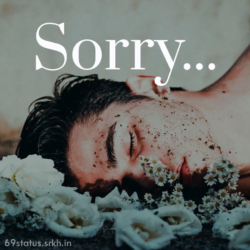 Sorry Love Image HD Boy Sorry