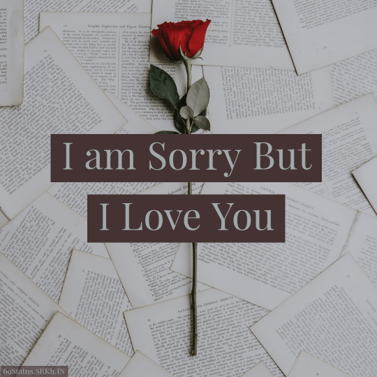 Sorry Love Image I am Sorry full HD free download.