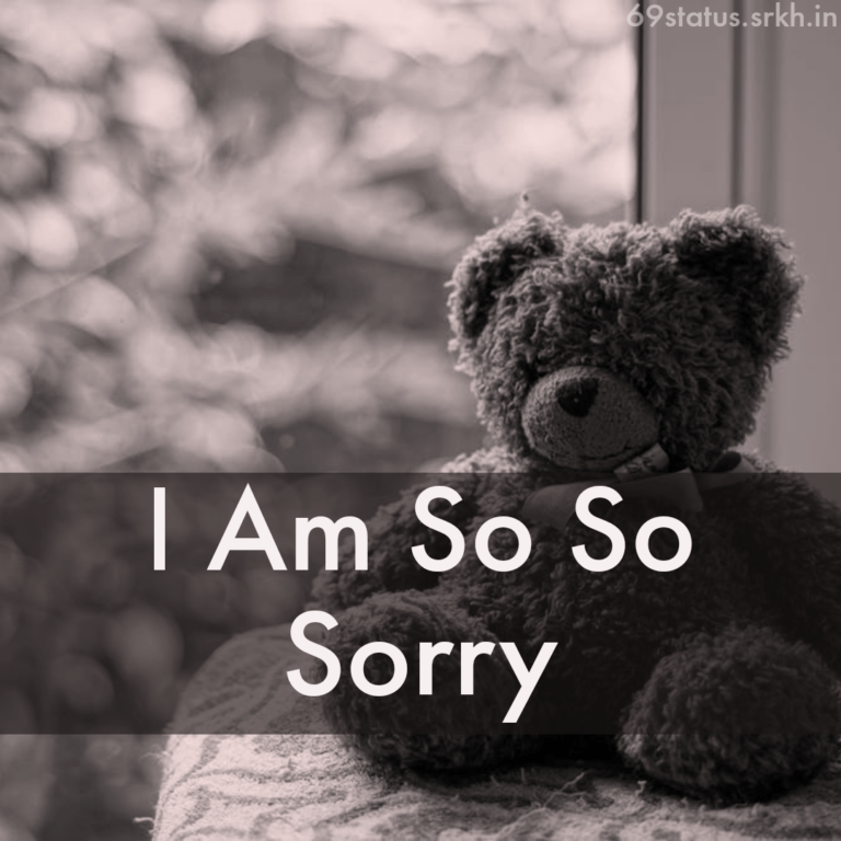 Sorry Love Pic HD Teddy Bear I am Sorry full HD free download.