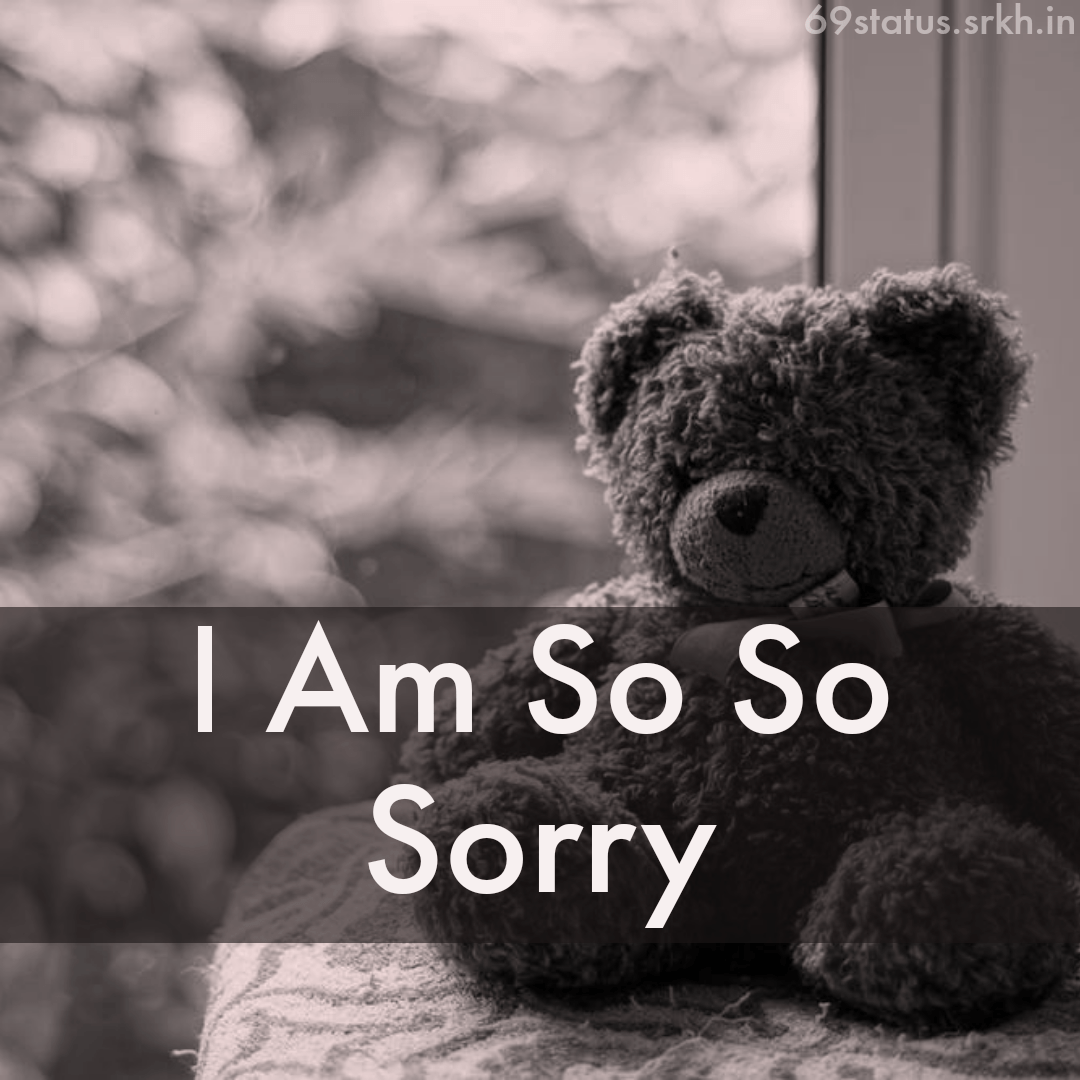  Sorry Love Pic HD Teddy Bear I am Sorry Download free - Images SRkh