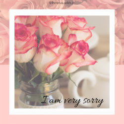 Sorry Love Picture HD Roses I Very Sorry