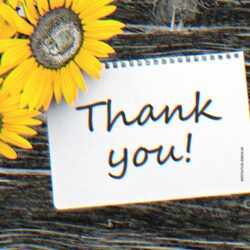 Thank You Flowers Images