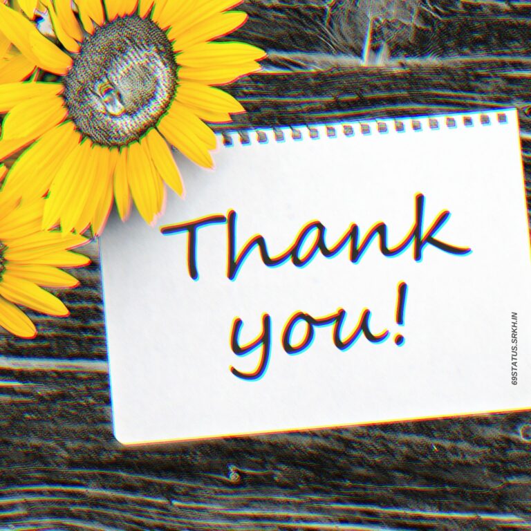 Thank You Flowers Images full HD free download.