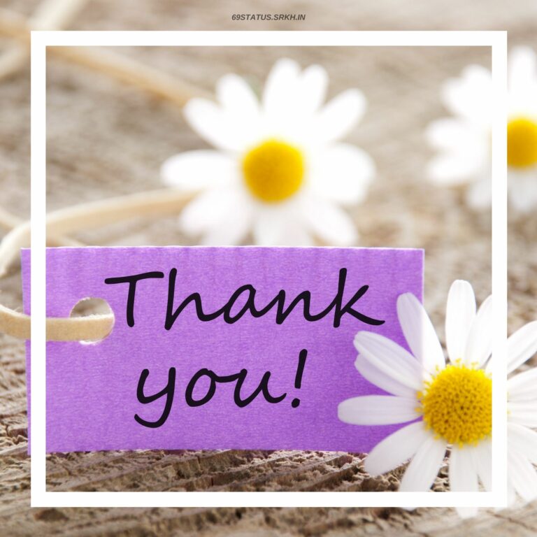 Thank You Flowers Images HD full HD free download.