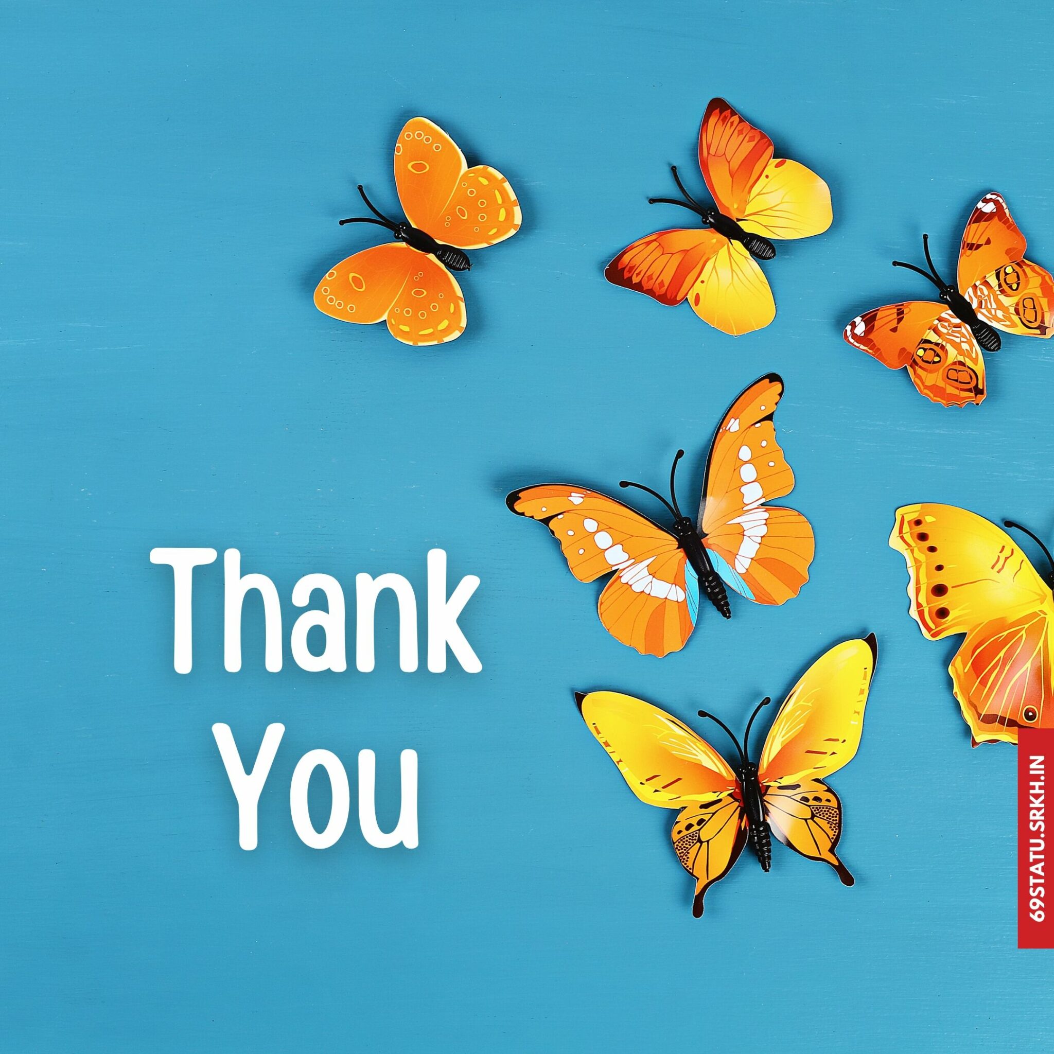 Thank You Images with Butterflies HD