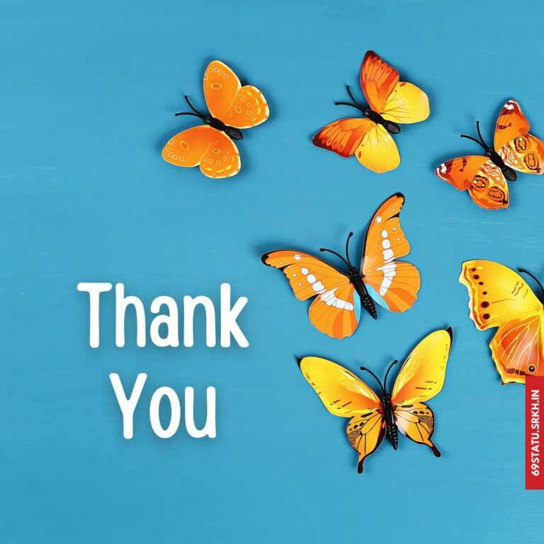 Thank You Images with Butterflies HD full HD free download.
