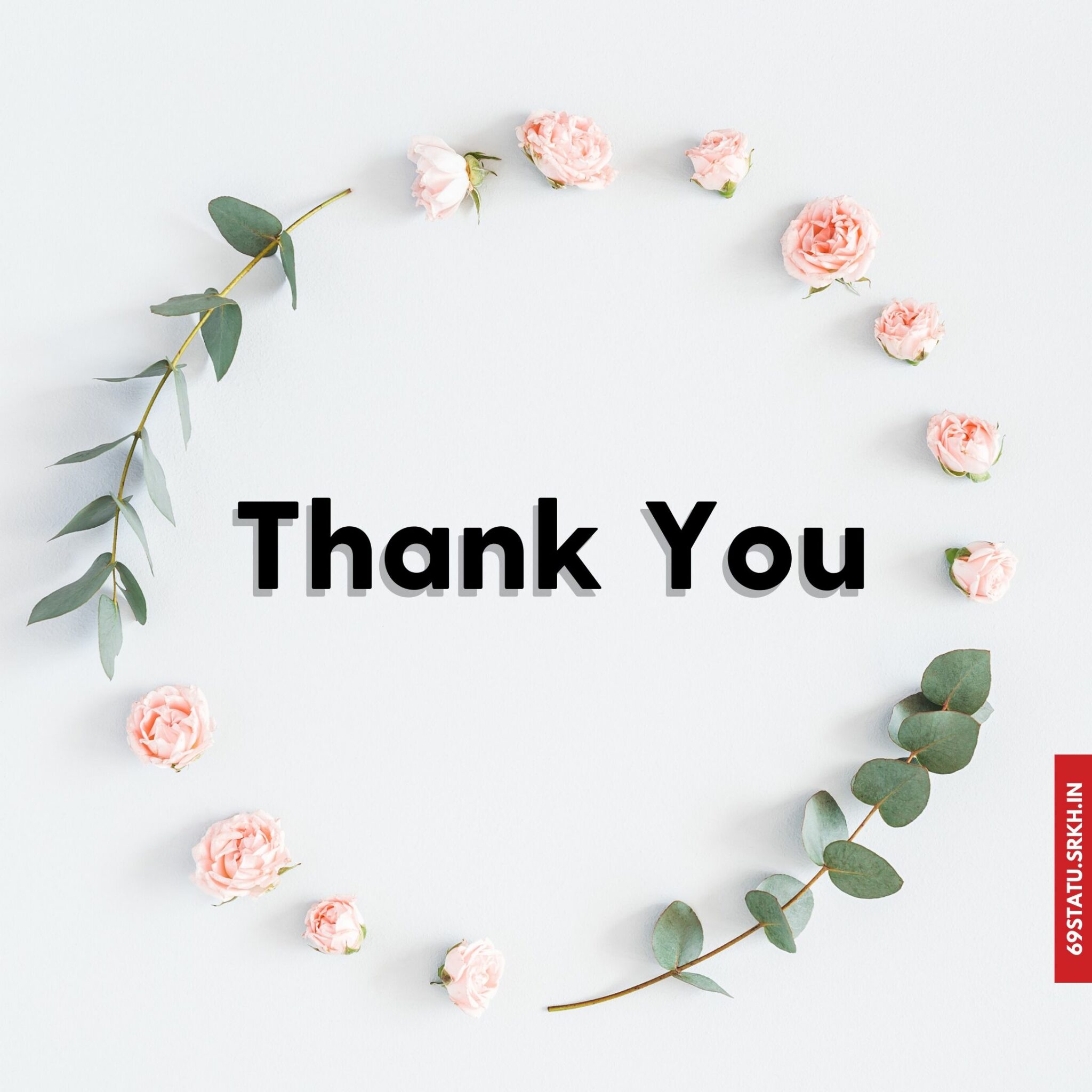 Thank You Images with Roses