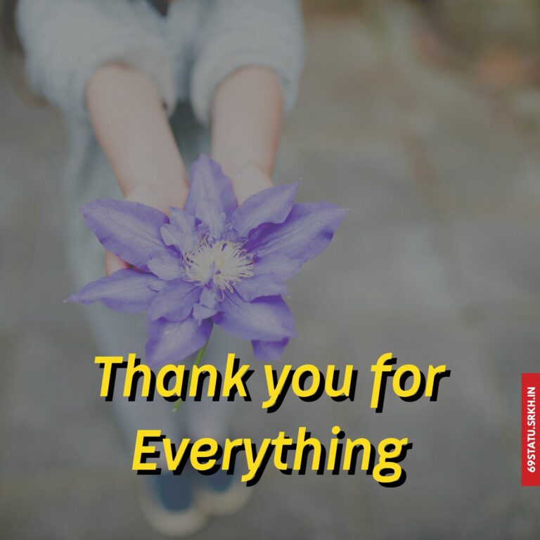 Thank You for Everything Images full HD free download.