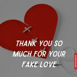 Thank You for Your Fake Love Images