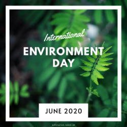 World Environment Day 2020 Images