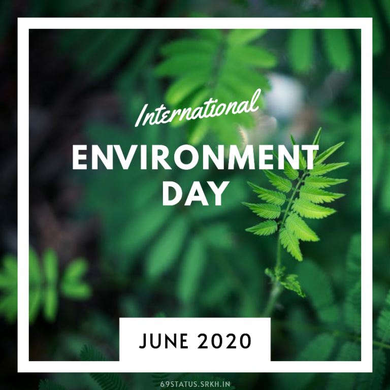 World Environment Day 2020 Images full HD free download.