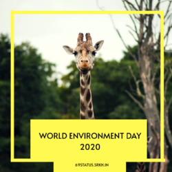 World Environment Day 2020 Images Giraffe
