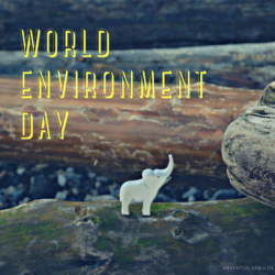 World Environment Day 3D Images