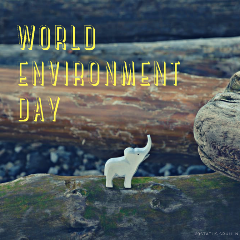 World Environment Day 3D Images full HD free download.