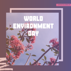 World Environment Day Beautiful Images
