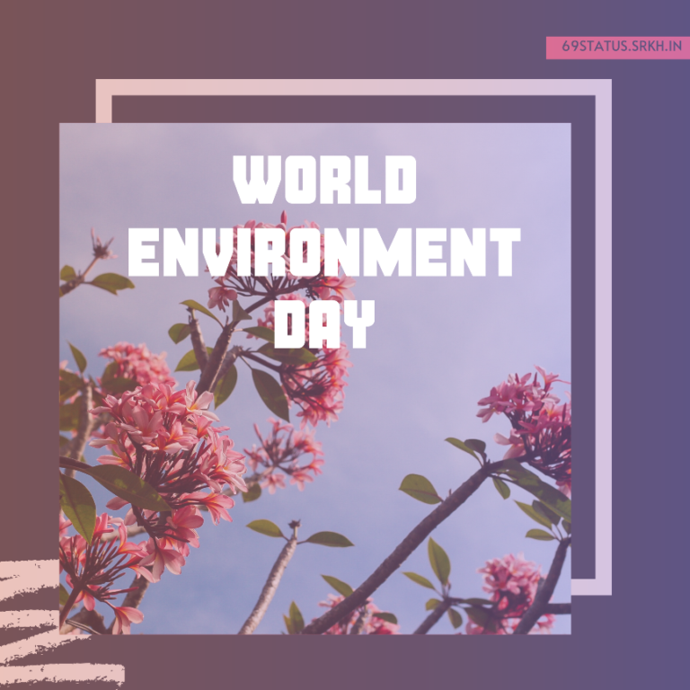 World Environment Day Beautiful Images full HD free download.