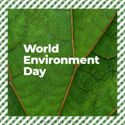 World Environment Day Full HD Image