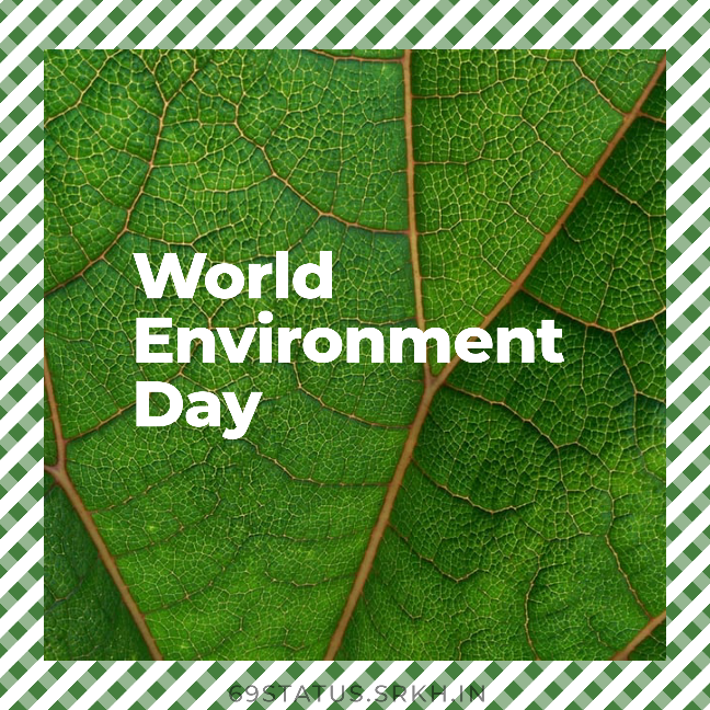 World Environment Day Full HD Image full HD free download.