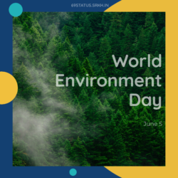 World Environment Day Full HD Images