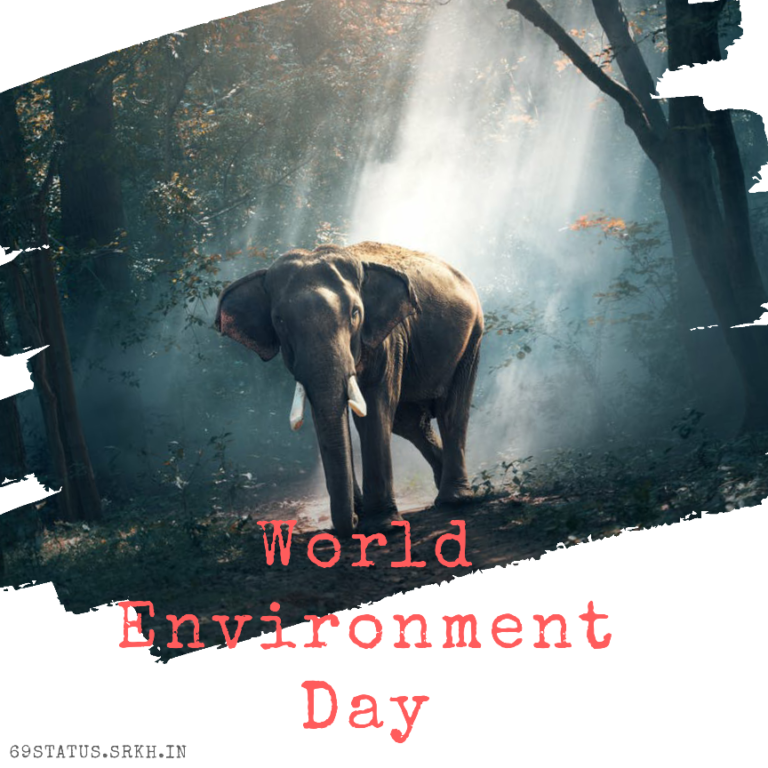World Environment Day Full HD Images Animal full HD free download.