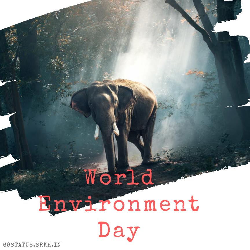 World Environment Day Full HD Images Animal