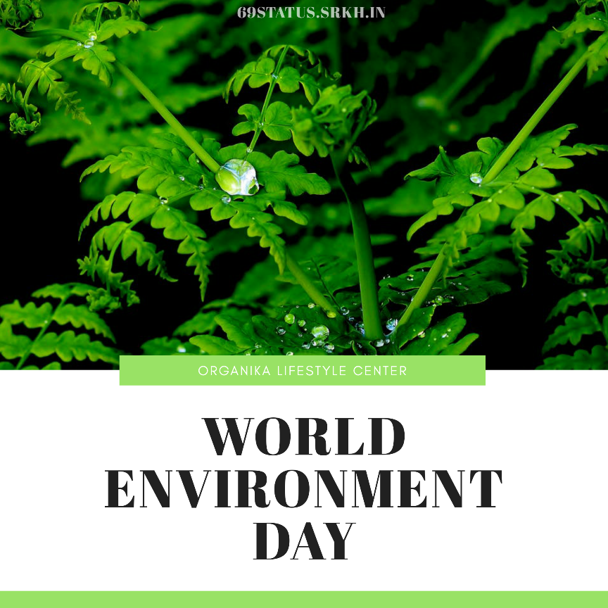 World Environment Day HD Images