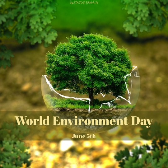 World Environment Day Image HD