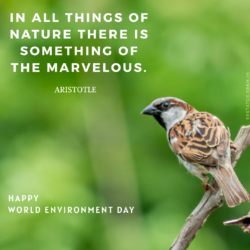 World Environment Day Image with Quotes HD