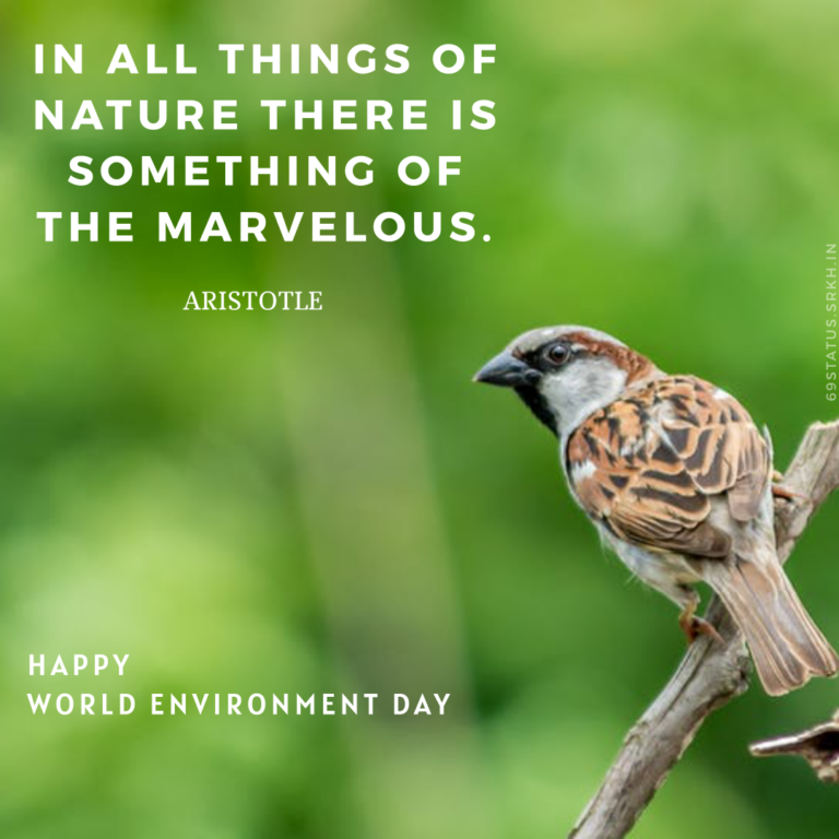 World Environment Day Image with Quotes HD full HD free download.