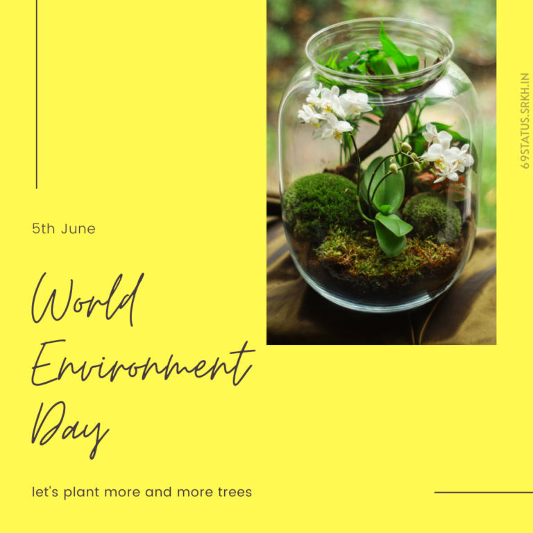 World Environment Day Images HD Plants inside a Jar full HD free download.