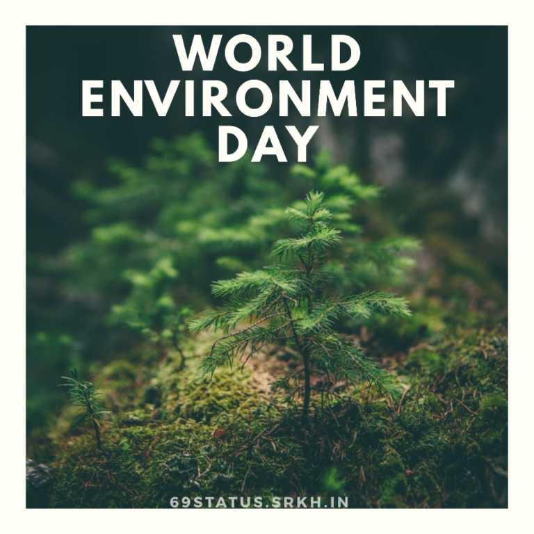 World Environment Day Images HD Trees full HD free download.