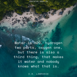 World Environment Day Images with Quote