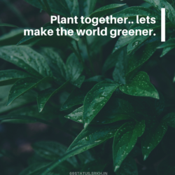 World Environment Day Images with Quotes Green